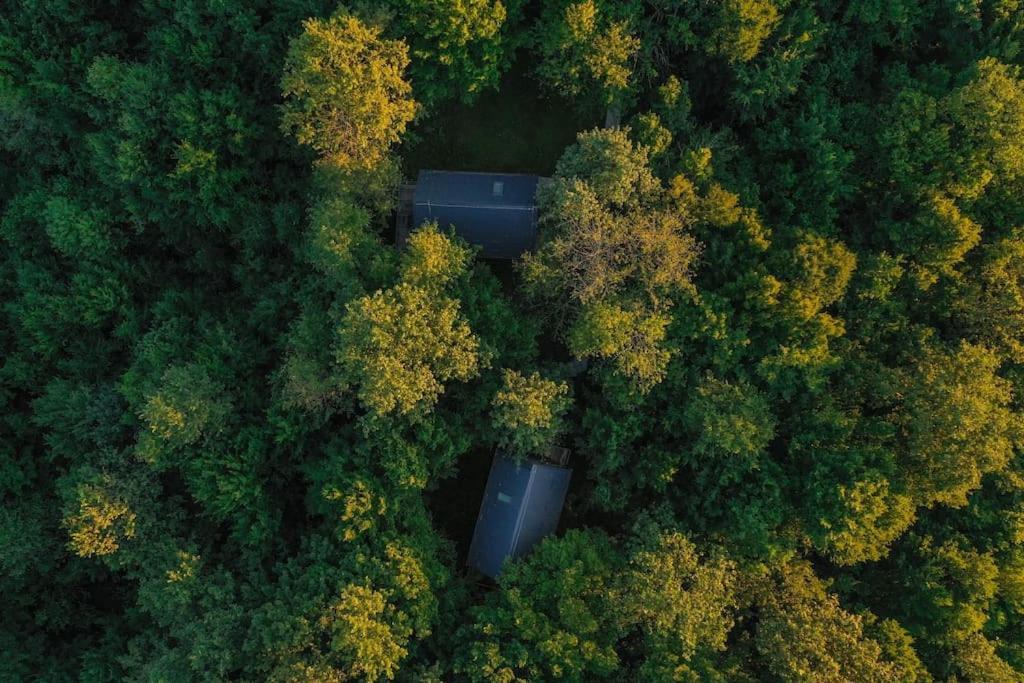 Tree Elements Treehouse Retreat Apartment สลูน ภายนอก รูปภาพ
