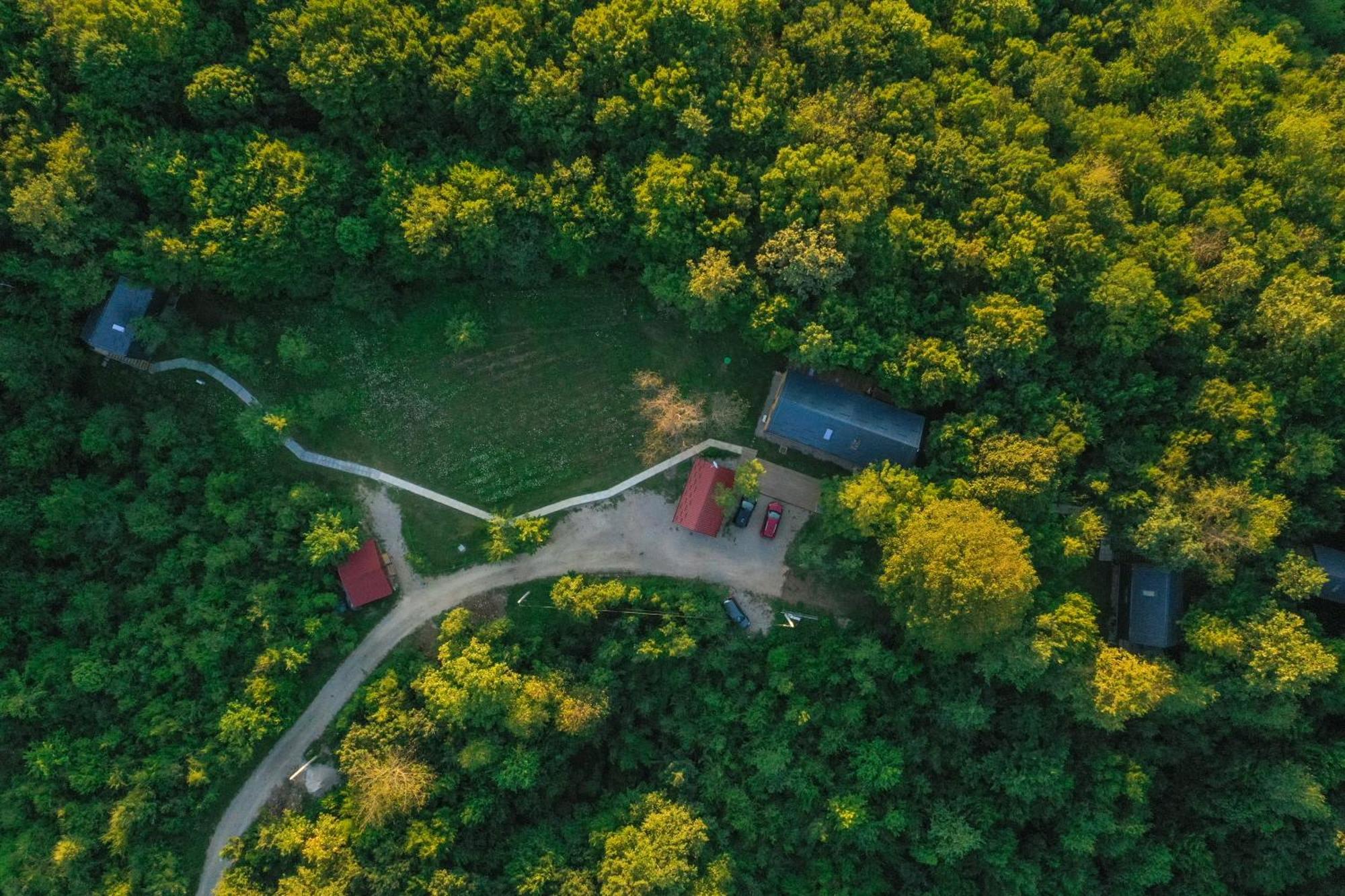 Tree Elements Treehouse Retreat Apartment สลูน ห้อง รูปภาพ