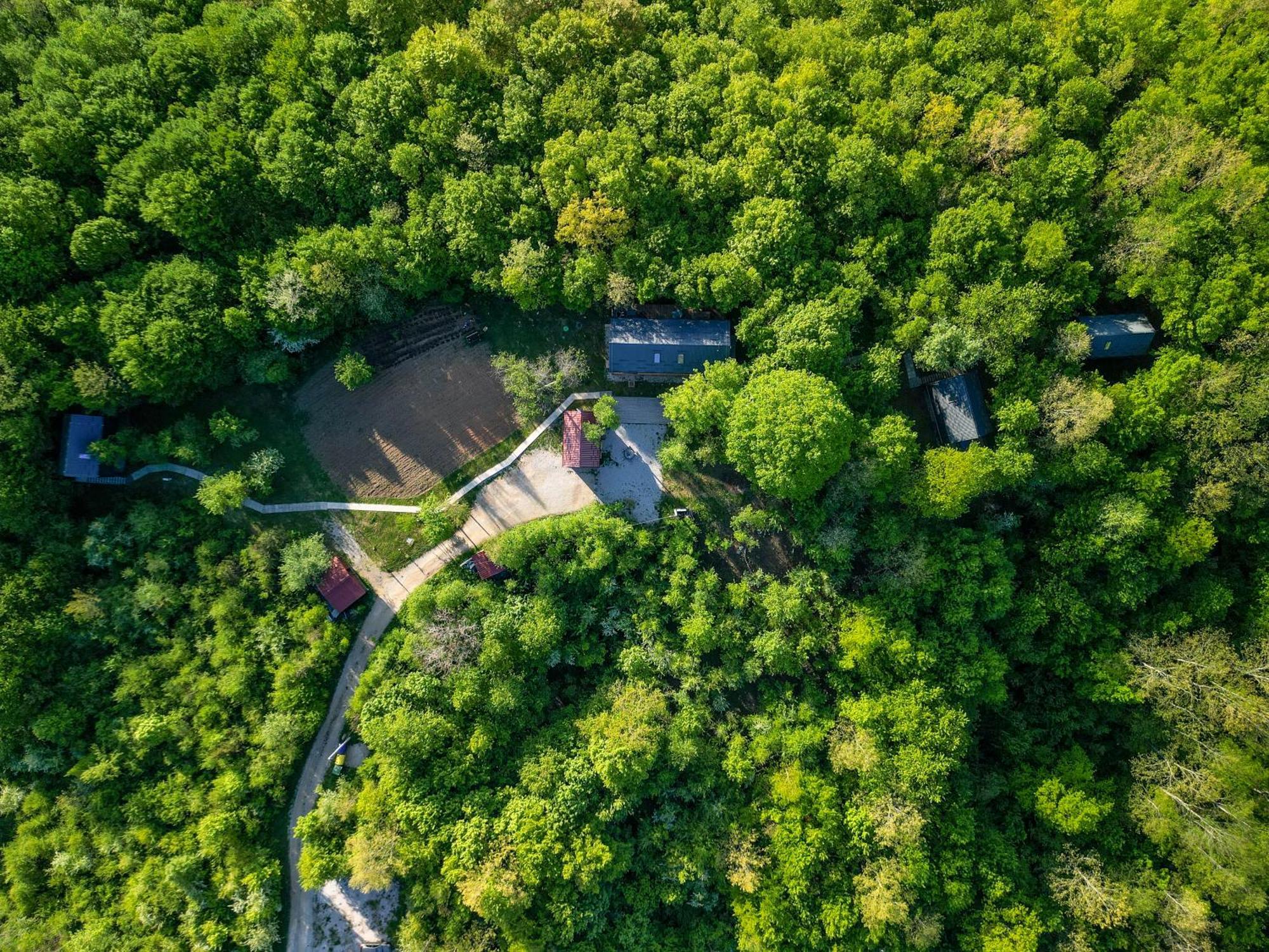 Tree Elements Treehouse Retreat Apartment สลูน ภายนอก รูปภาพ